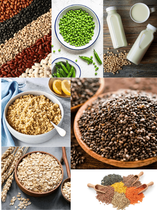 protein-rich food for weight gain vegetarian